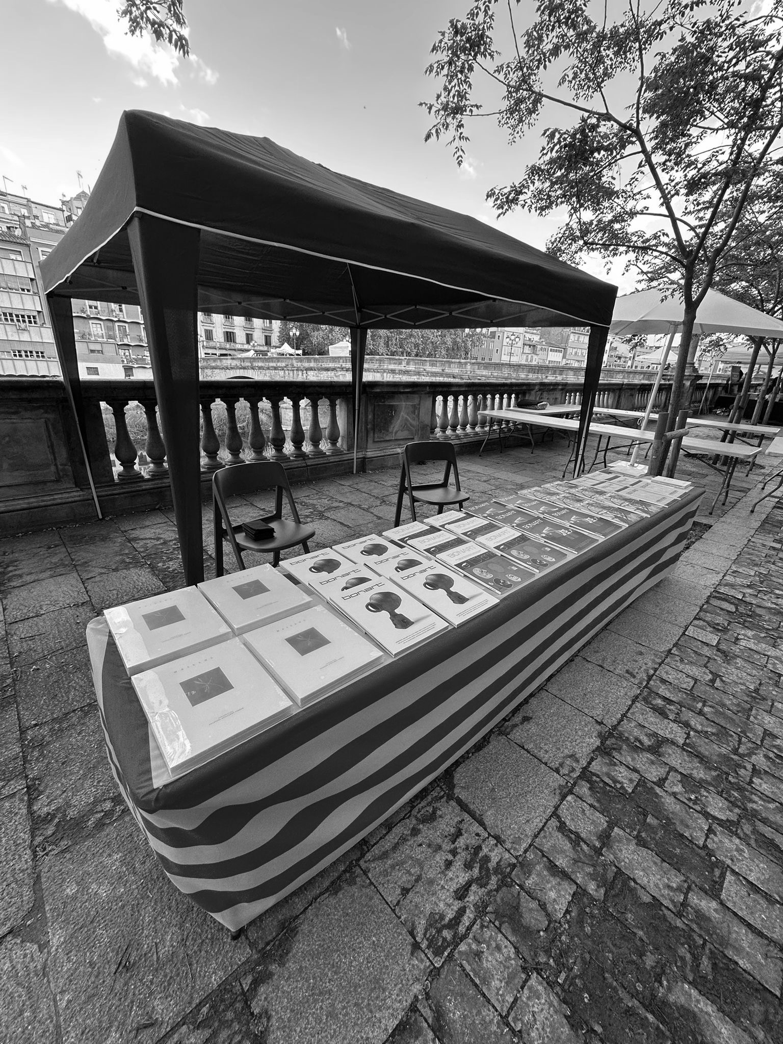 bonart viu Sant Jordi entre la tradició i la transformació dels carrers