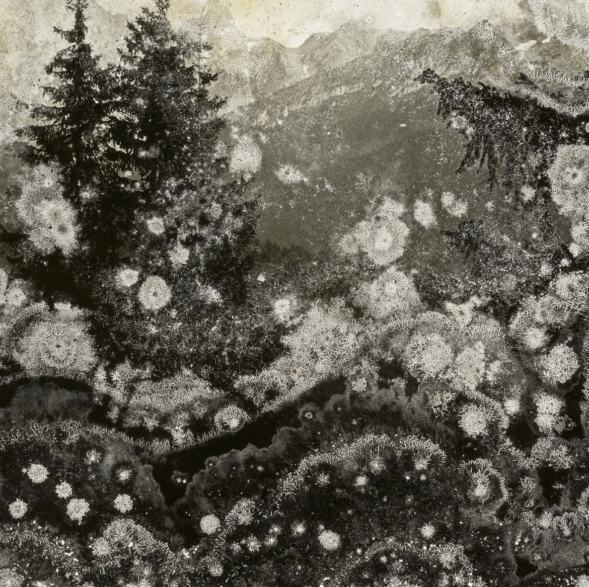 Neix el Mallorca PhotoFest: quatre mesos que transformaran l’illa