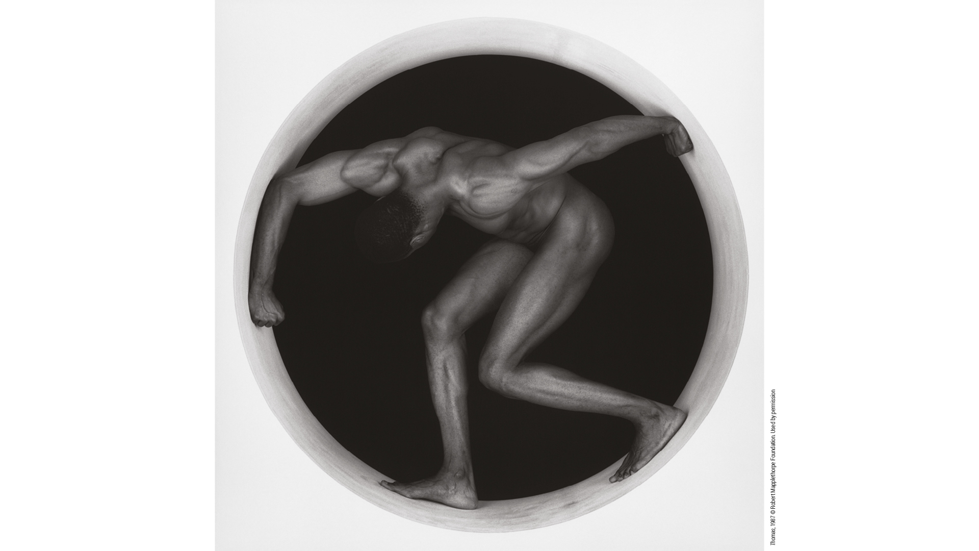 Mapplethorpe en Milán como la belleza del deseo hecha forma