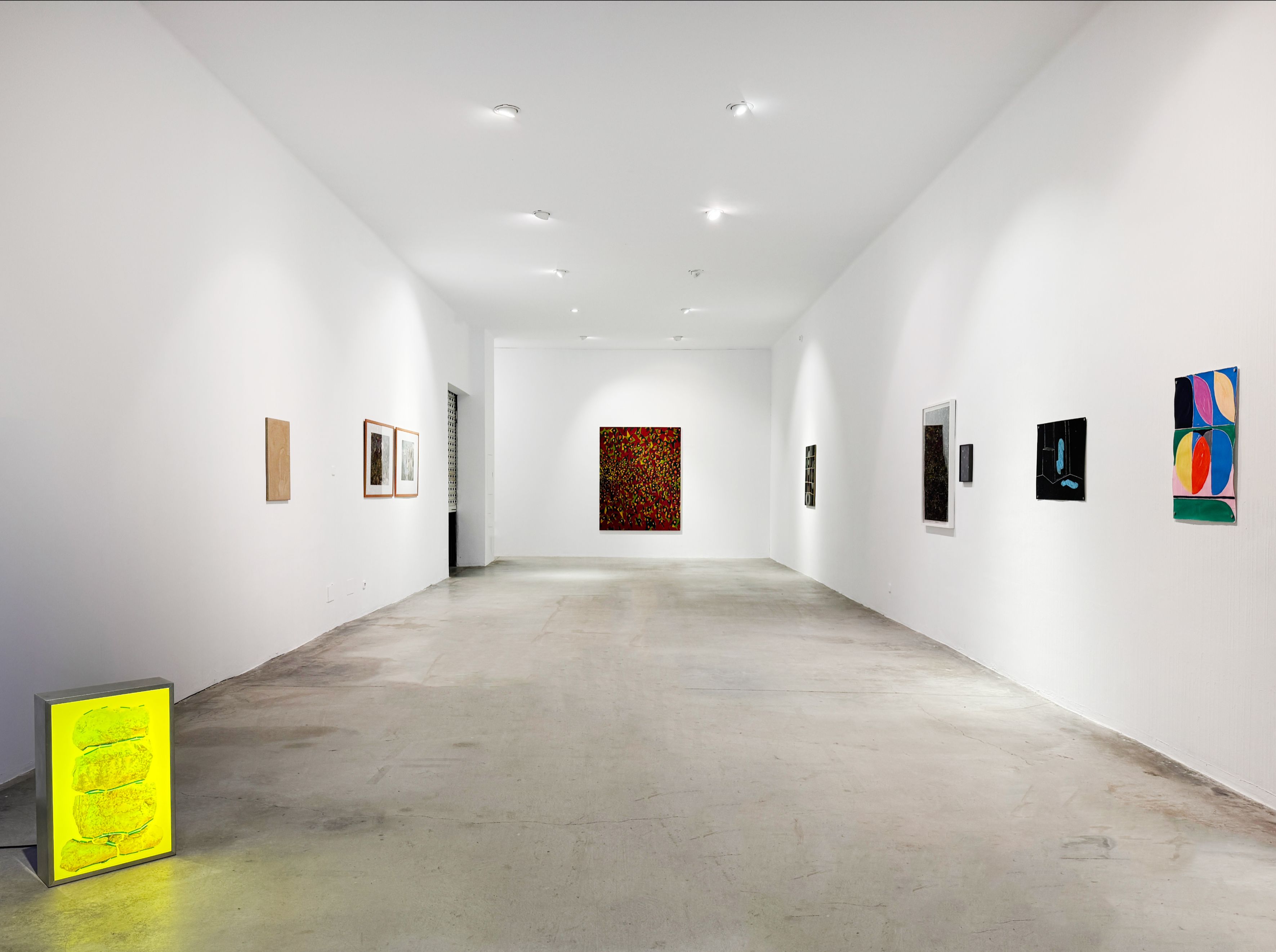 Inauguració de l\'exposició \'Més vell que l\'olivera\'