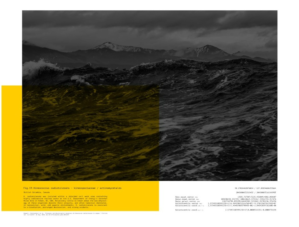 Press conference for Max de Esteban\'s exhibition
