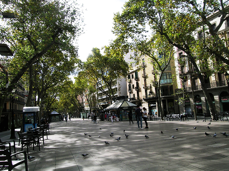 Autobiography in Images. Pontius Pilate. Barcelona I Love You 2020