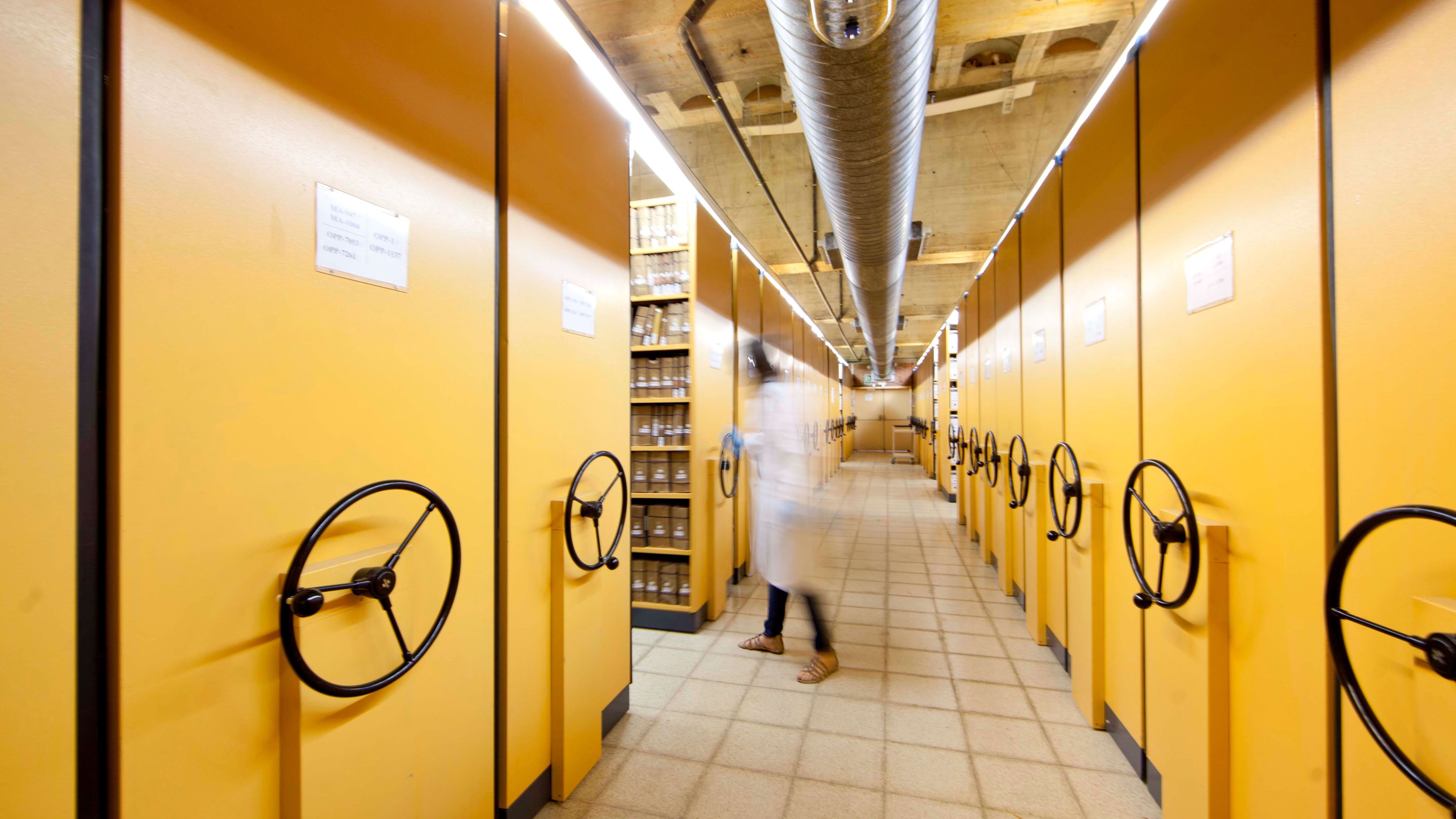 International Archives Week 2026