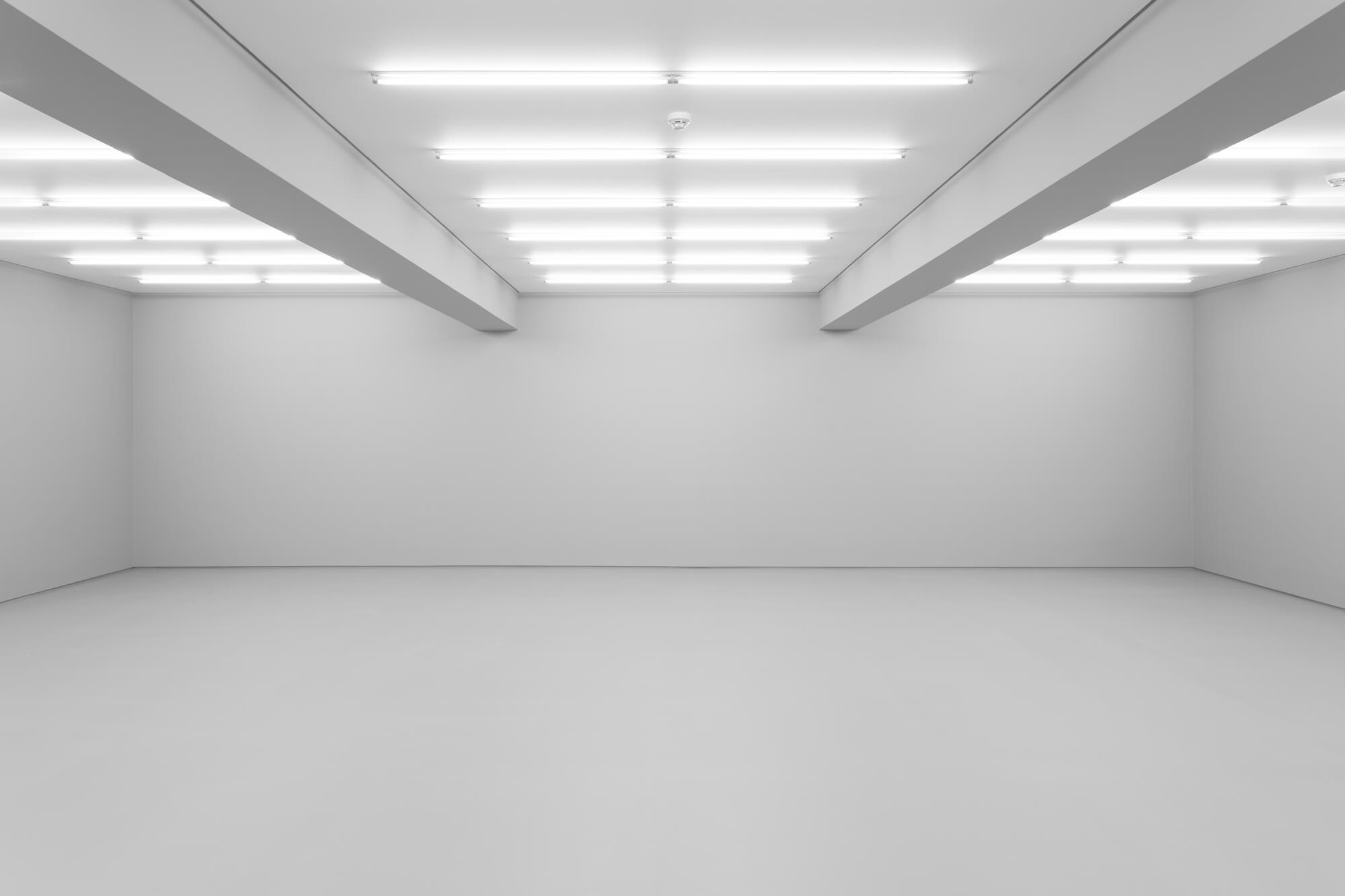 Exposició d\'Ana Vieira a la Galeria Vera Cortês