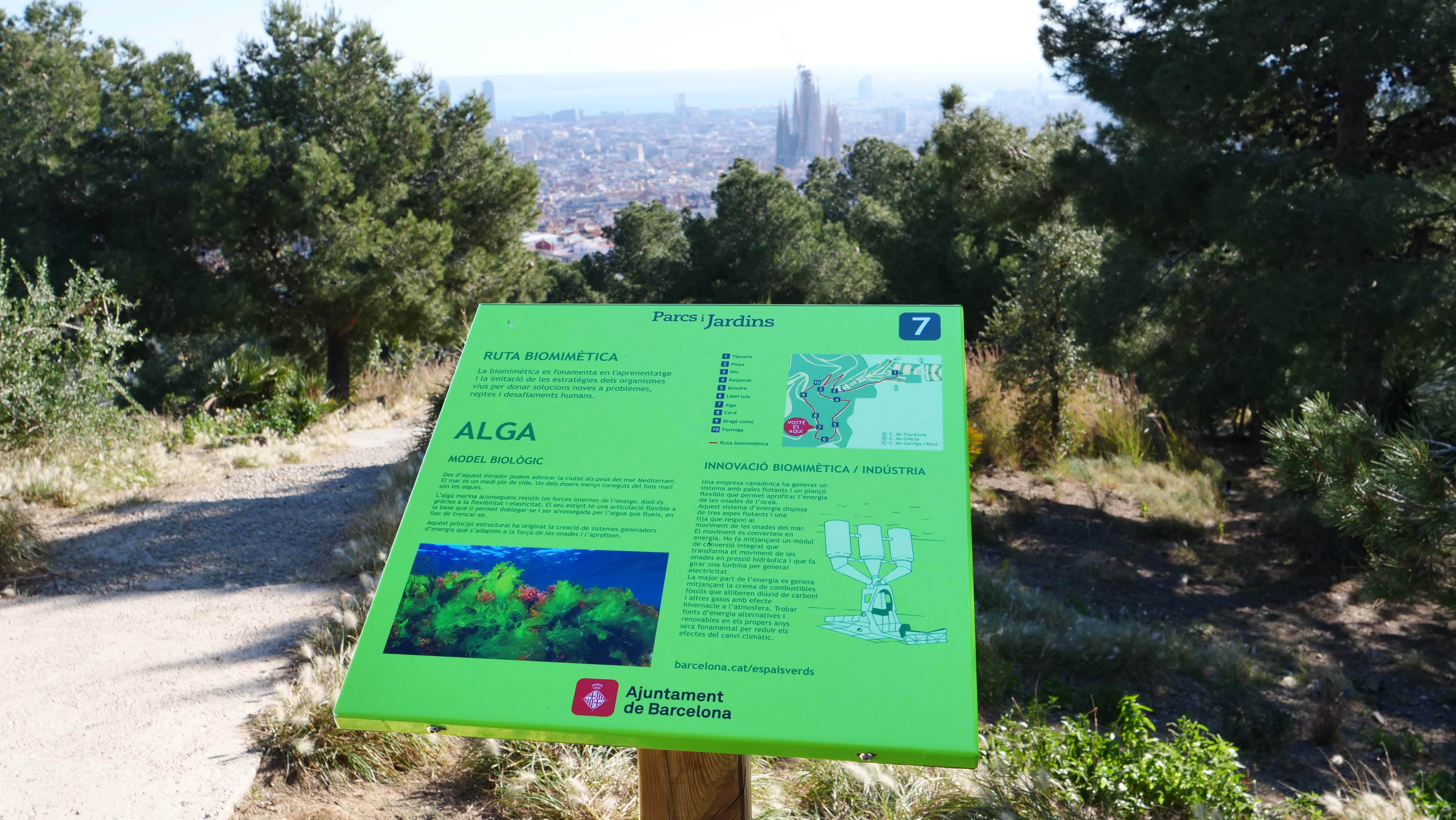 Biomimetic Routes