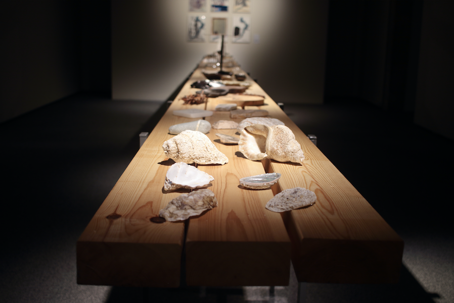Miramar. Exploracions de la Mar d’Amunt: el món creatiu de Paco Pérez