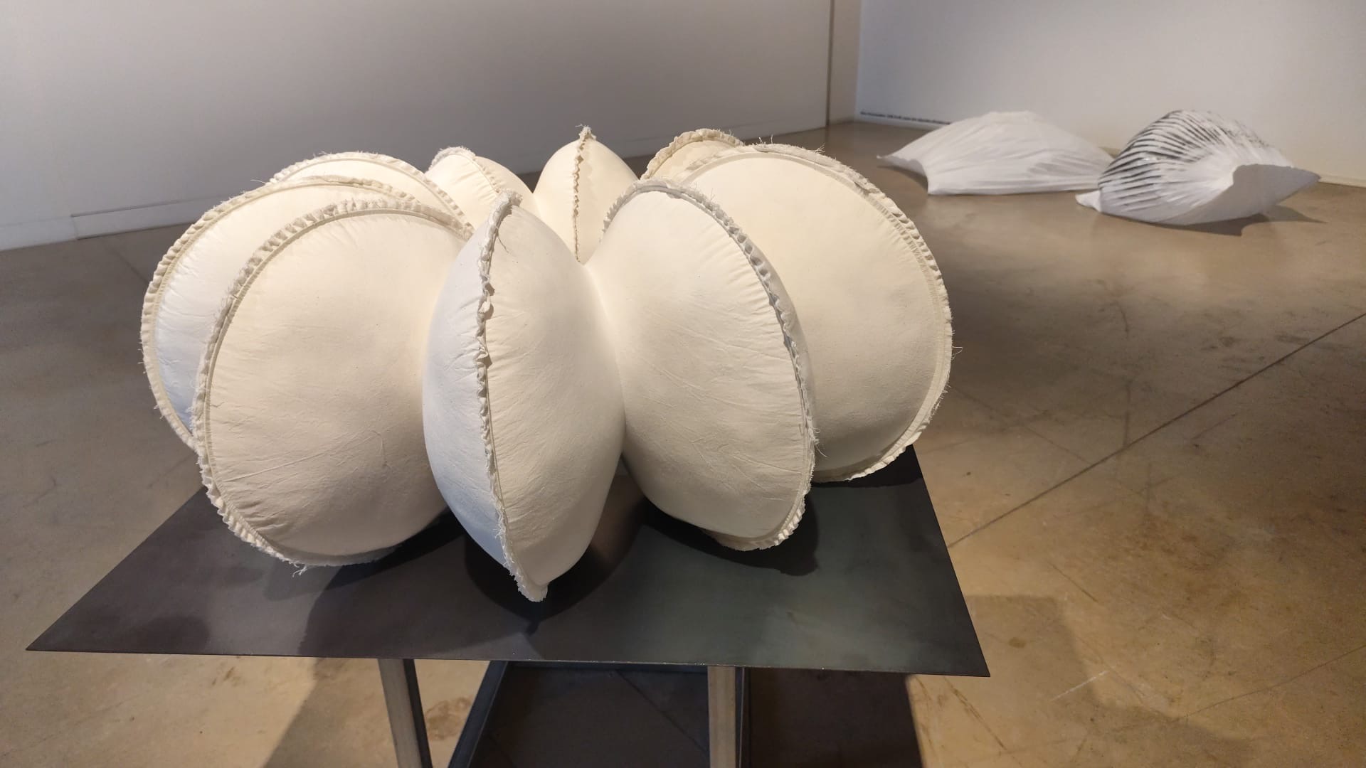 Anna Irina Russell presenta l’exposició ‘Neix en l’aire la primera flor’ al Museu Can Mario de la Fundació Vila Casas