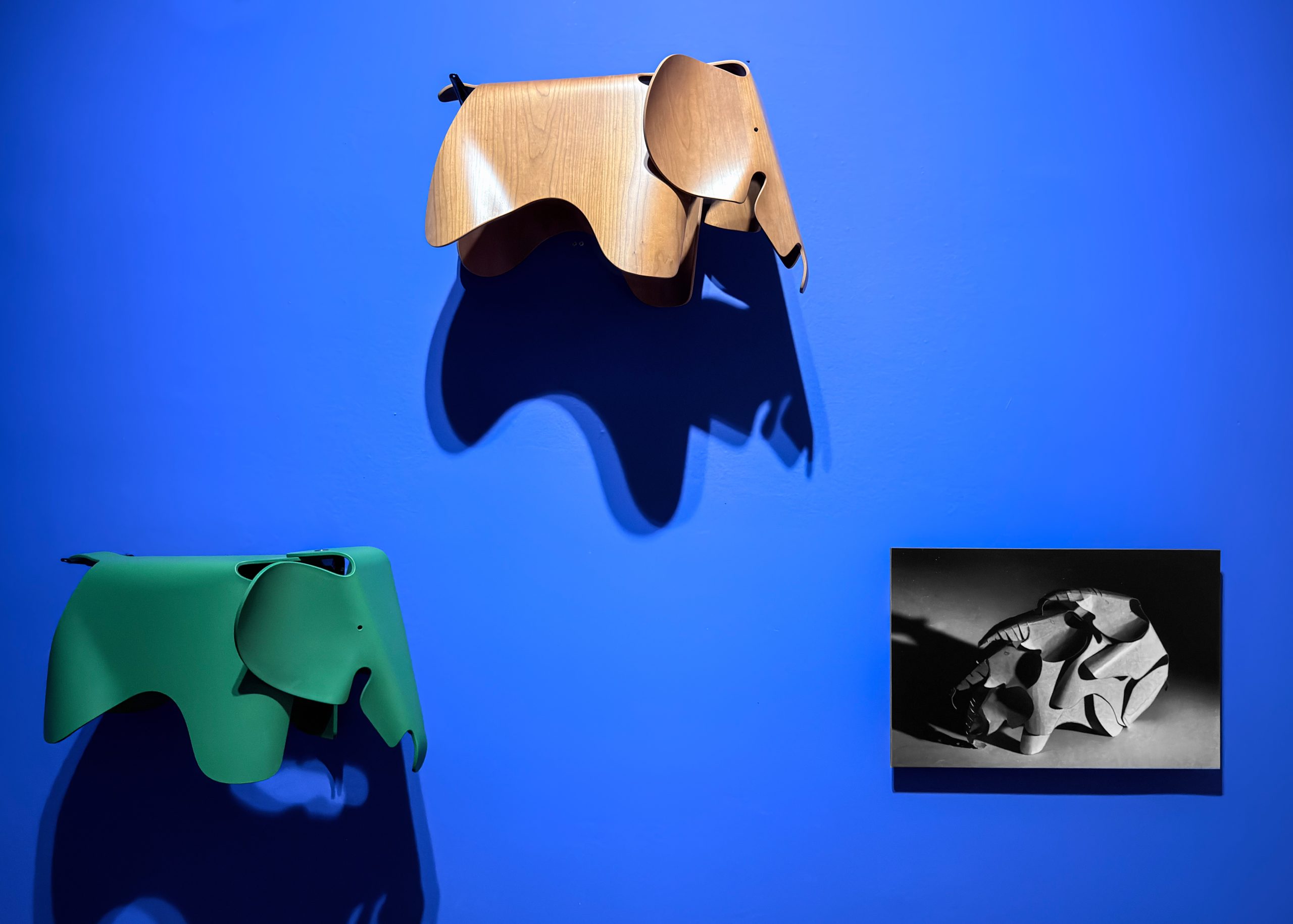 La belleza funcional como experiencia expandida en Charles & Ray Eames en Monterrey