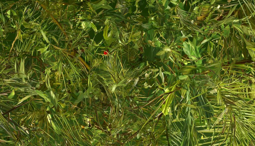 Albano Afonso. A Natureza