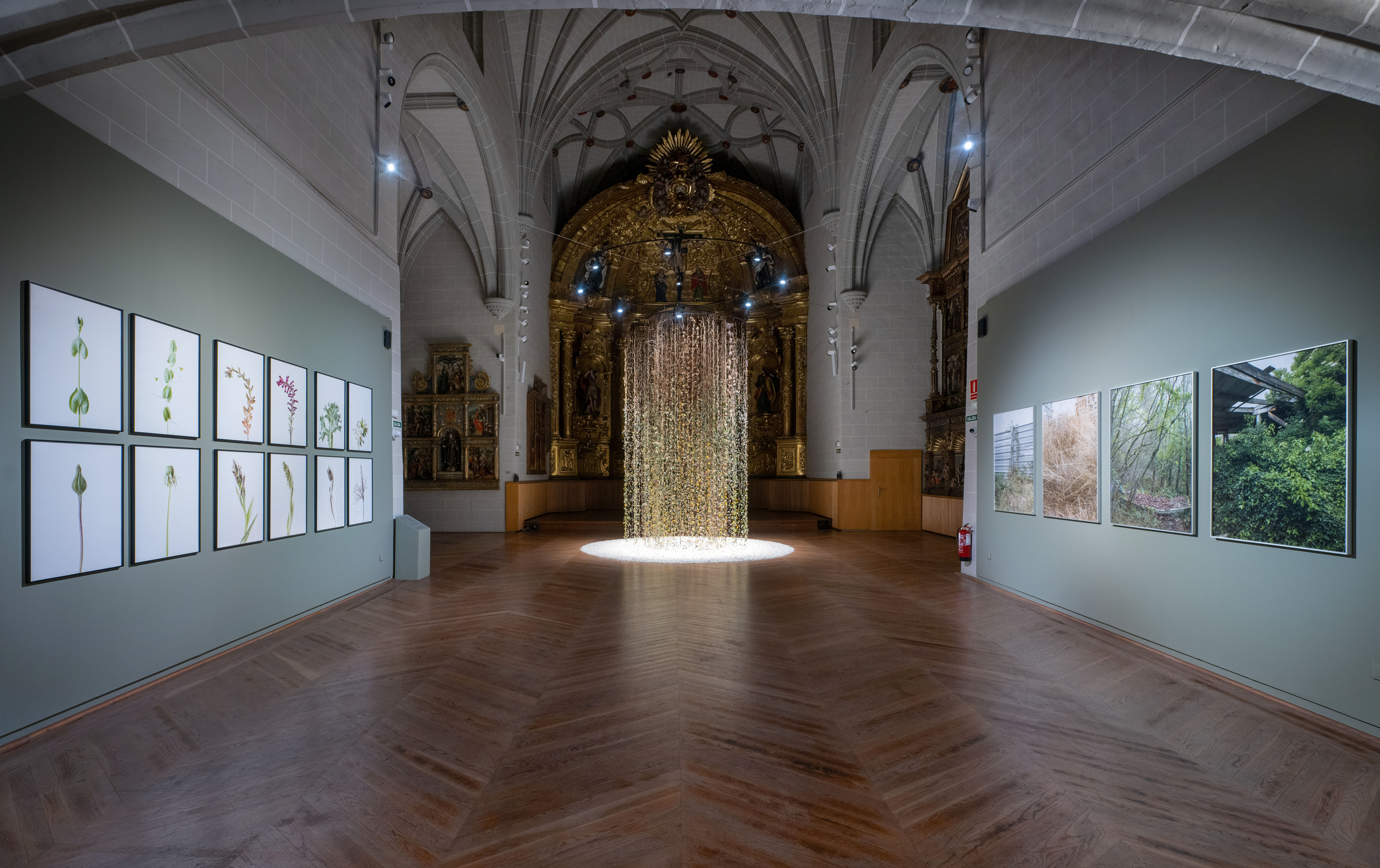 Expositions de Nicolás Combarro et María Azkarate à Pampelune