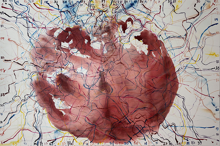 Inauguració de Sarah Shackleton, “Intertwined Memory”
