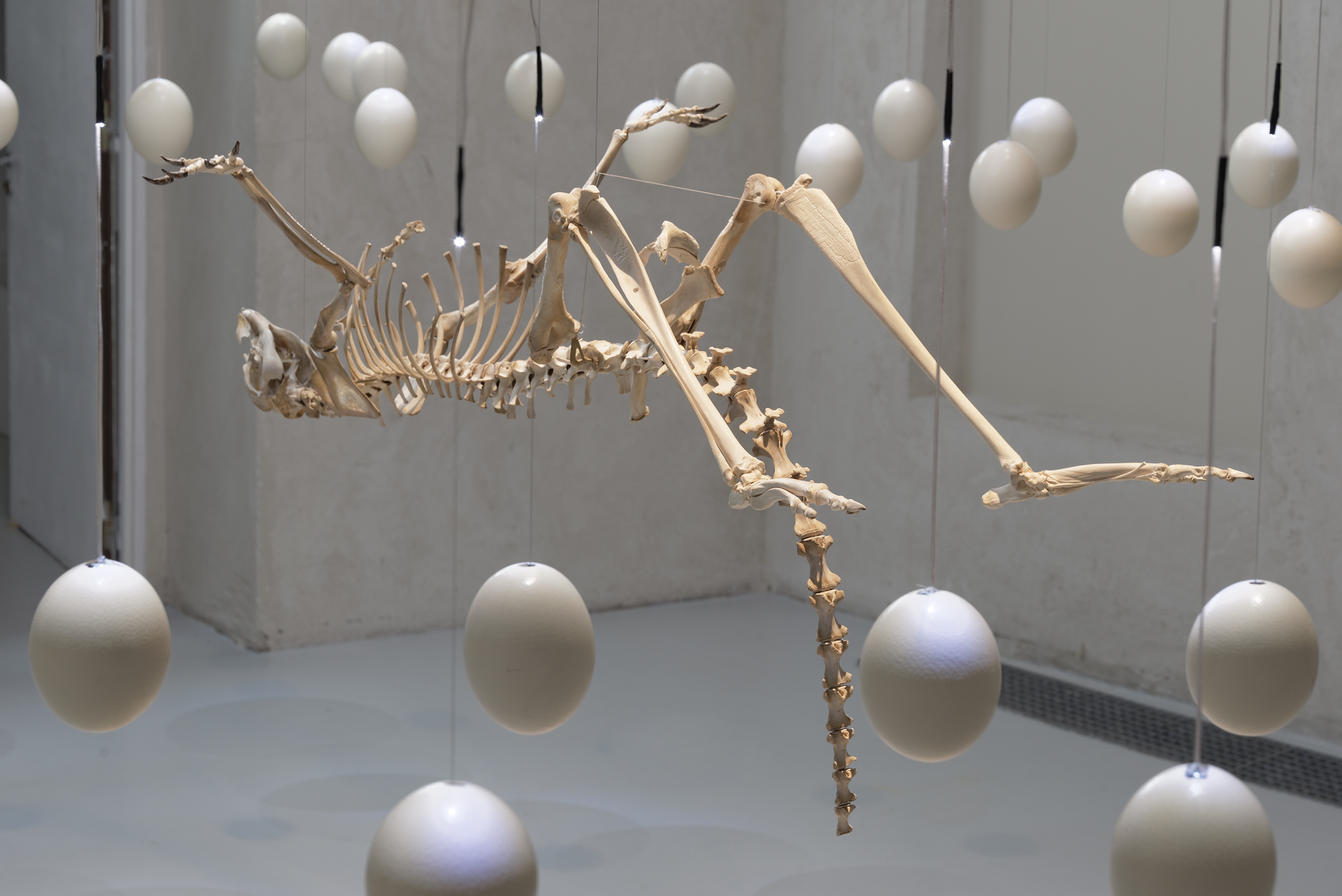 Opening of the \'Zoofuturismo\' exhibition