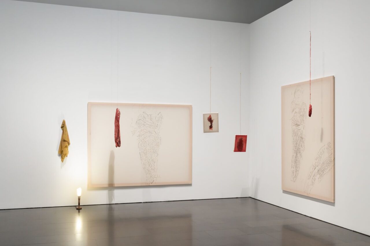 Echoes: Videos from the Han Nefkens Foundation Donation