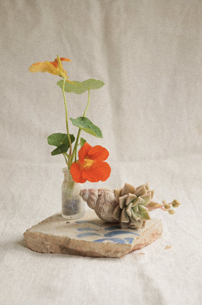 Inauguration de l\'exposition \'Bodegons et Cossiols du Porvenir\'