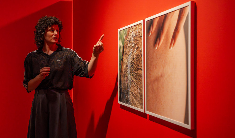 Visita guiada a l\'exposició \