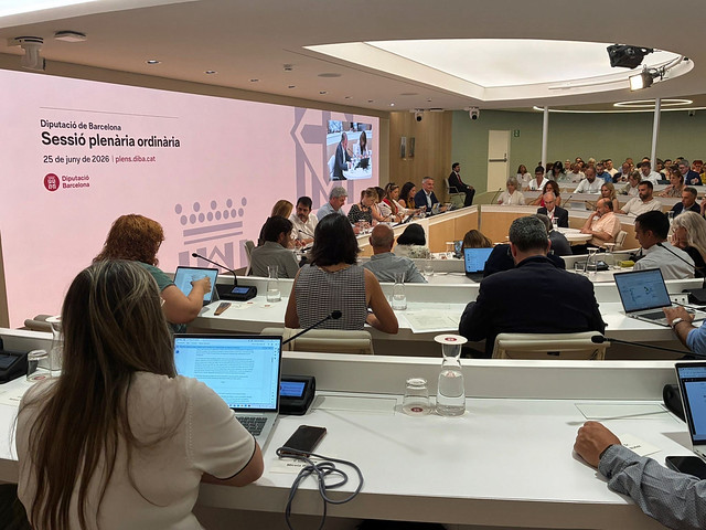 Presentación del proyecto DIBAigua
