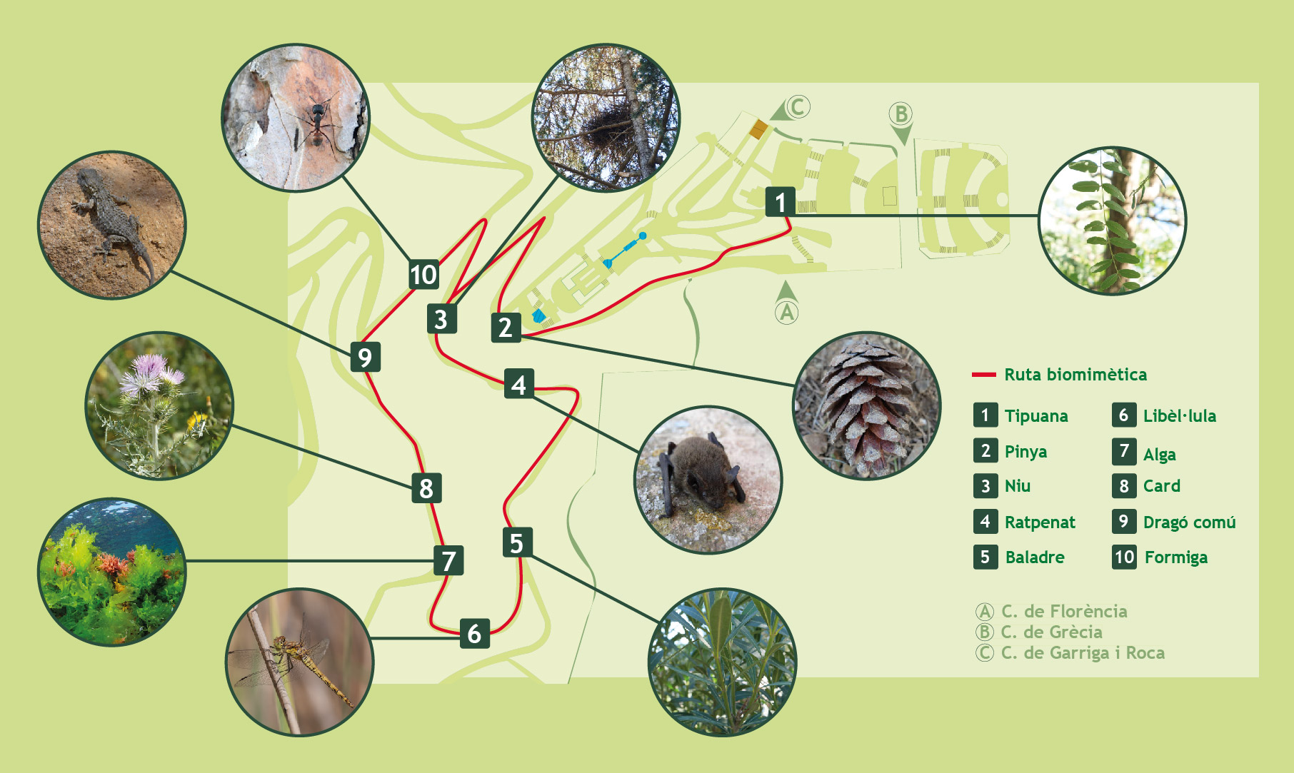 Biomimetic Routes