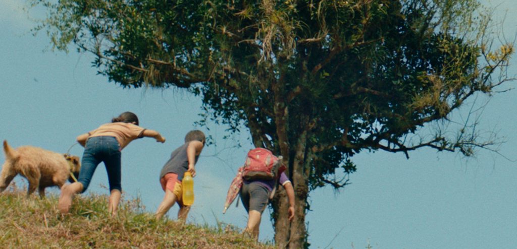 Cinema català destaca al Festival Internacional de Locarno