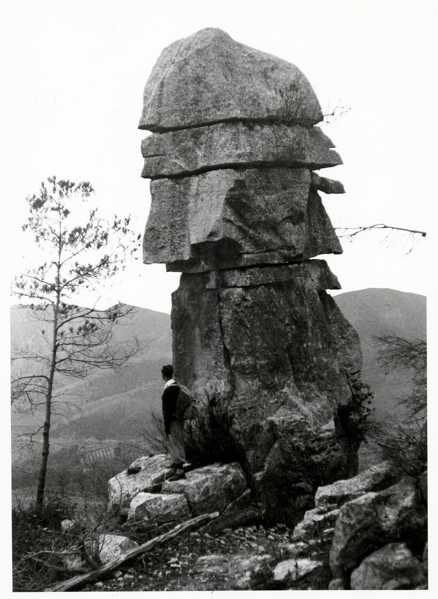 Gaudí troba en la natura el seu llenguatge arquitectònic