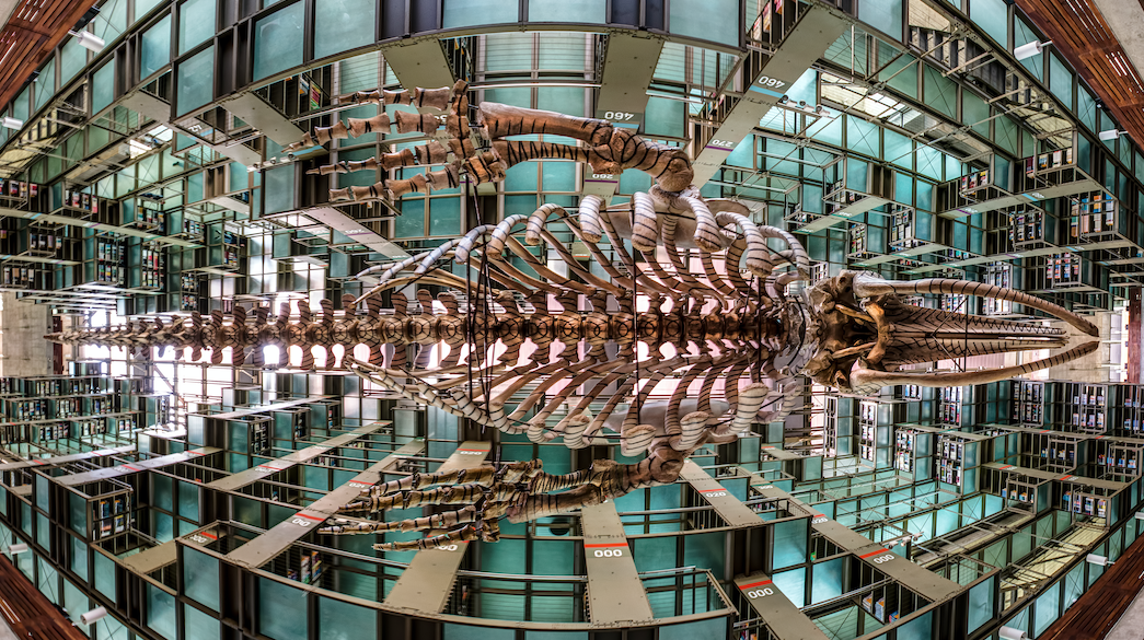La Biblioteca Vasconcelos cumple 20 años entre los edificios más increíbles del siglo XXI