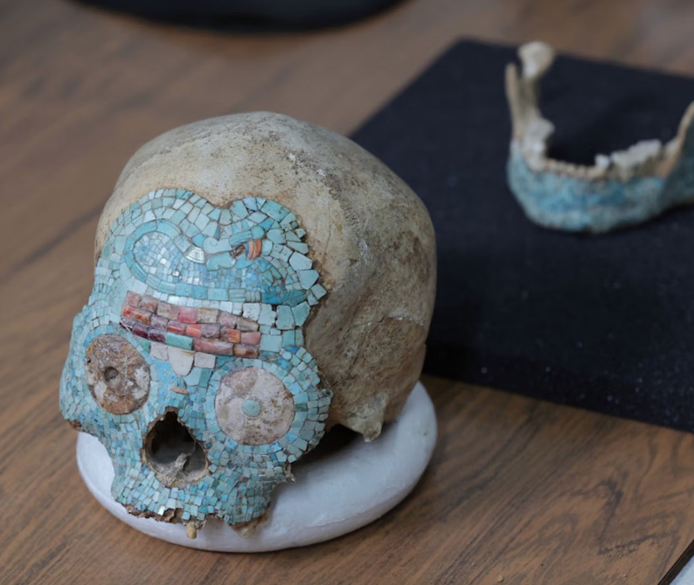 Un cráneo mesoamericano regresa a Oaxaca y recupera su lugar en la memoria de su territorio
