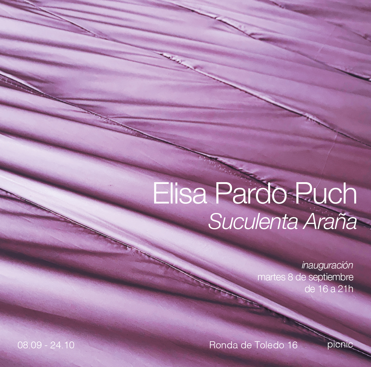 Exposició \'Suculenta Araña\' - Elisa Pardo Puch