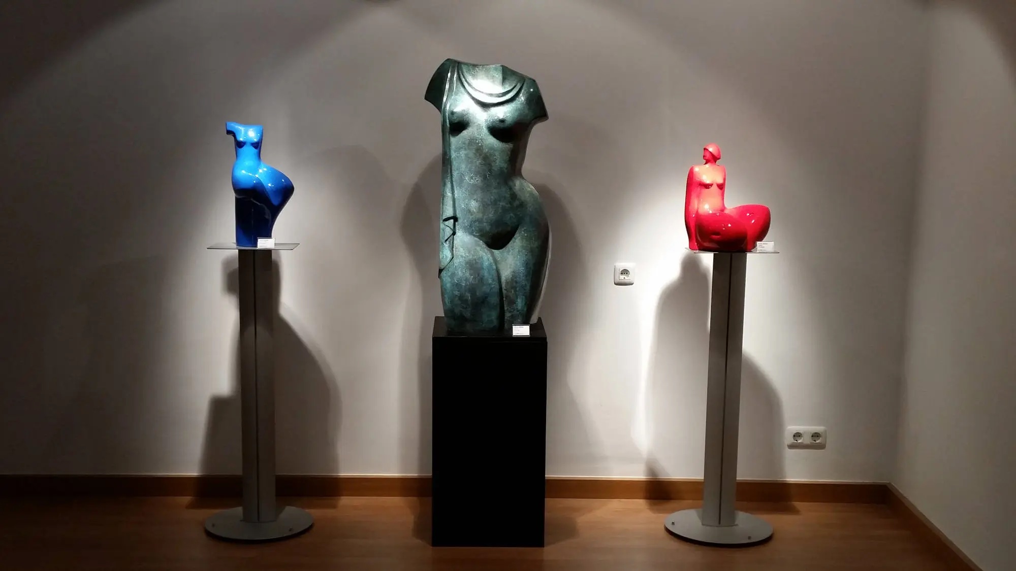 Opening of Manel Anoro\'s exhibition
