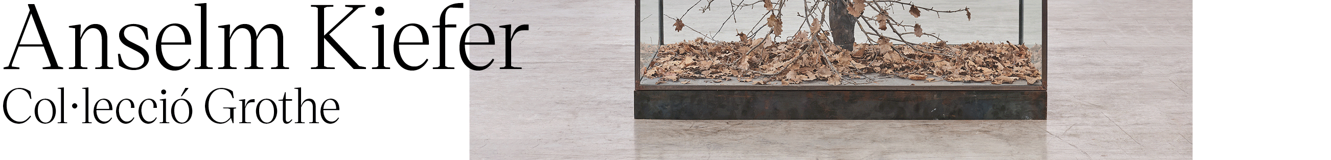 19-ANUNCI-BONART_BANNER_ANSELM-KIEFER