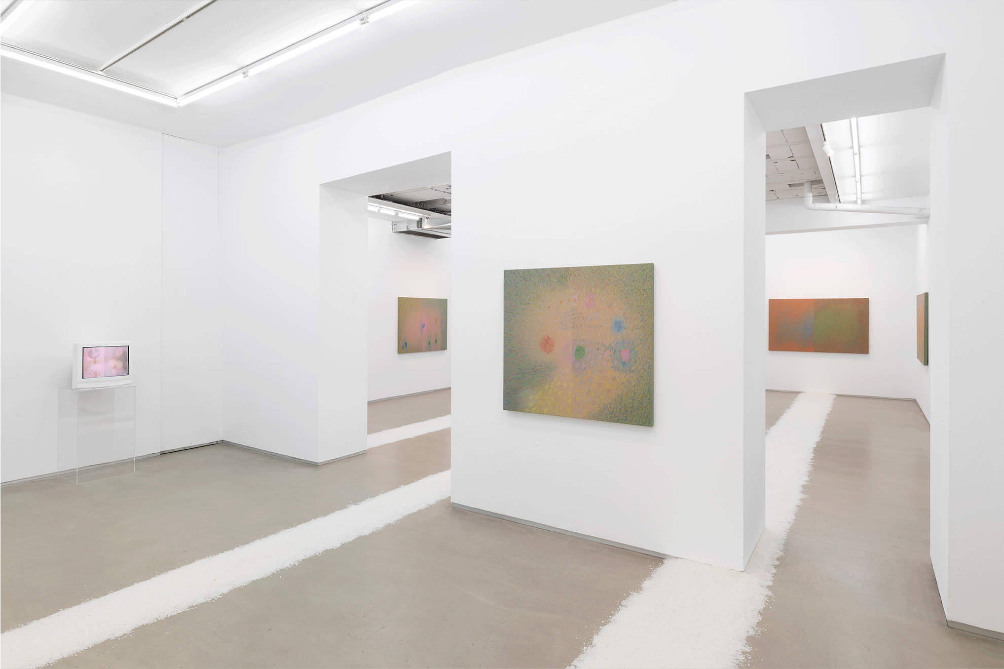 Exposición de Ana Montiel en Parra & Romero