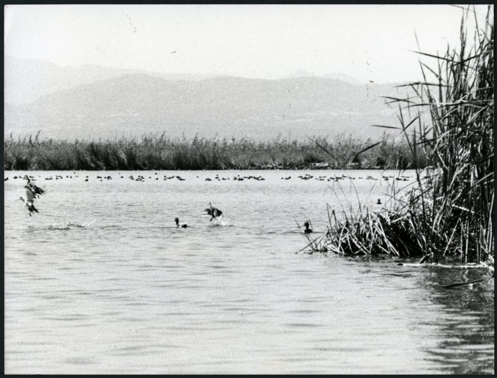 Visita especial a ‘La Albufera’ amb Bleda i Rosa i Teresa Marín