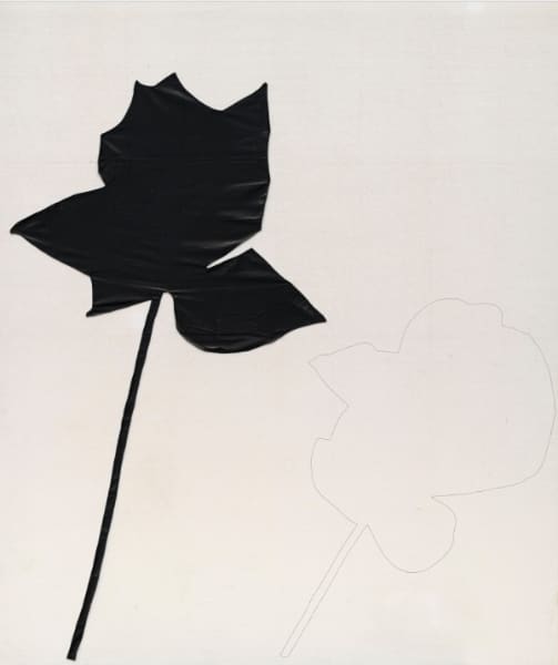Jannis Kounellis: Io sóc un pintor