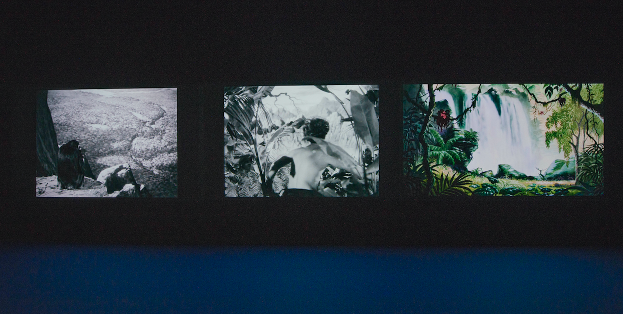 Eli Cortiñas questions the power of images
