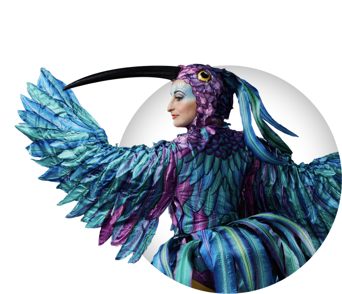 KURIOS – Gabinete de Curiosidades en Madrid