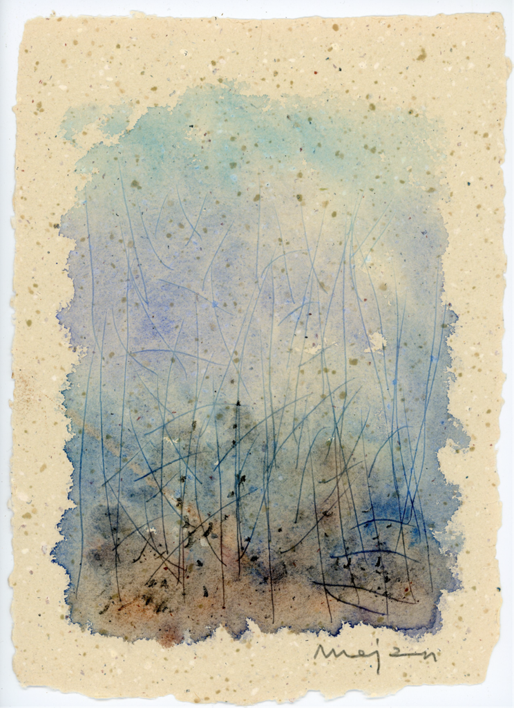 Exposition \'Forêts de la Cuisine\' de Josep Maria Mejan