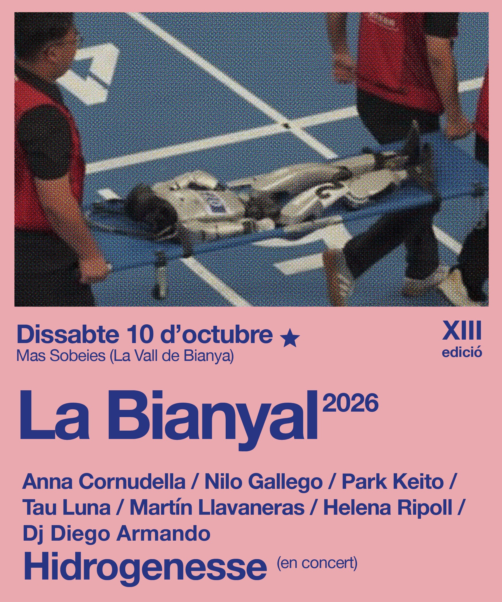 XIII edition of the Bianyal