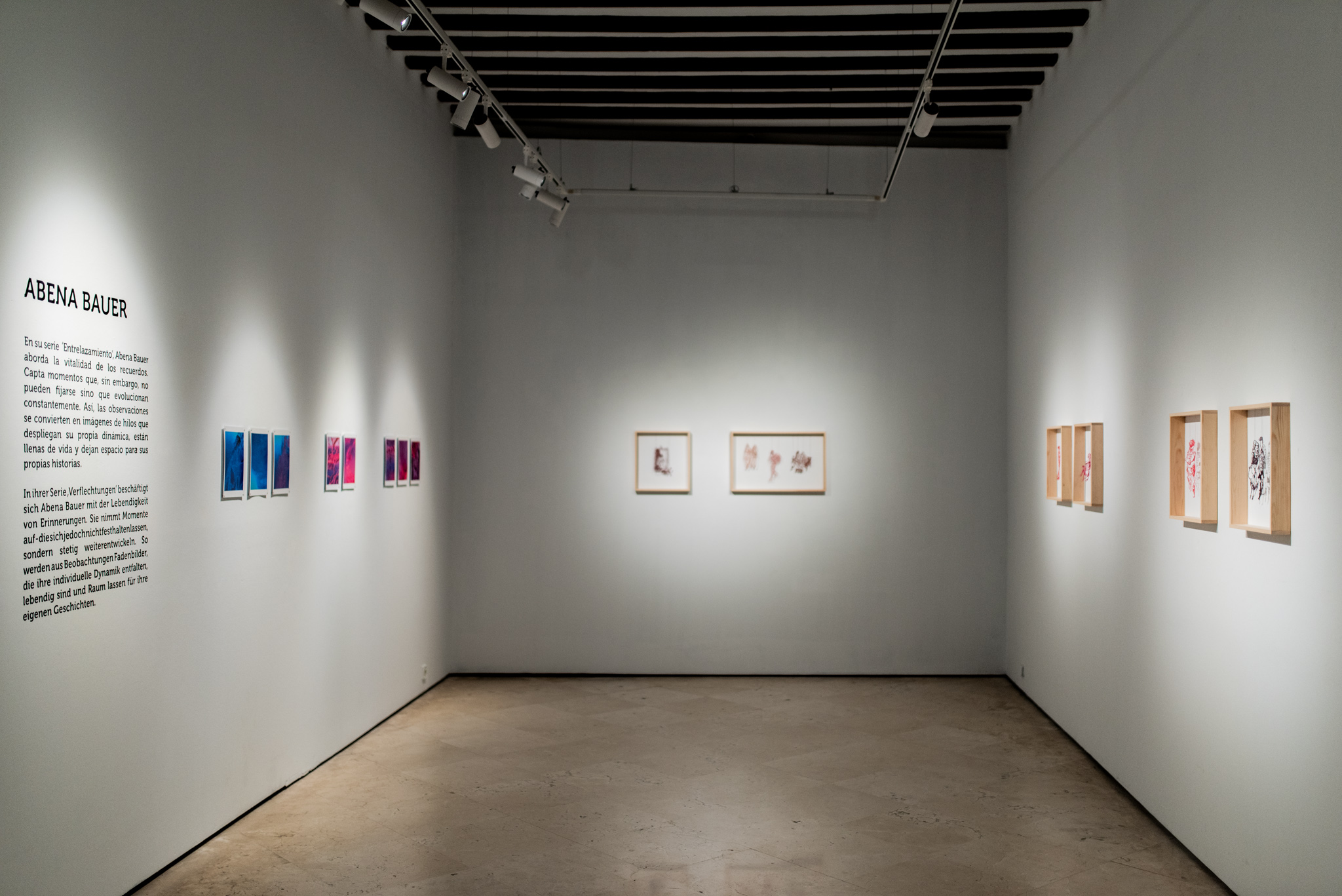 Exposició \'Ins Blaue/A ver què passa\'