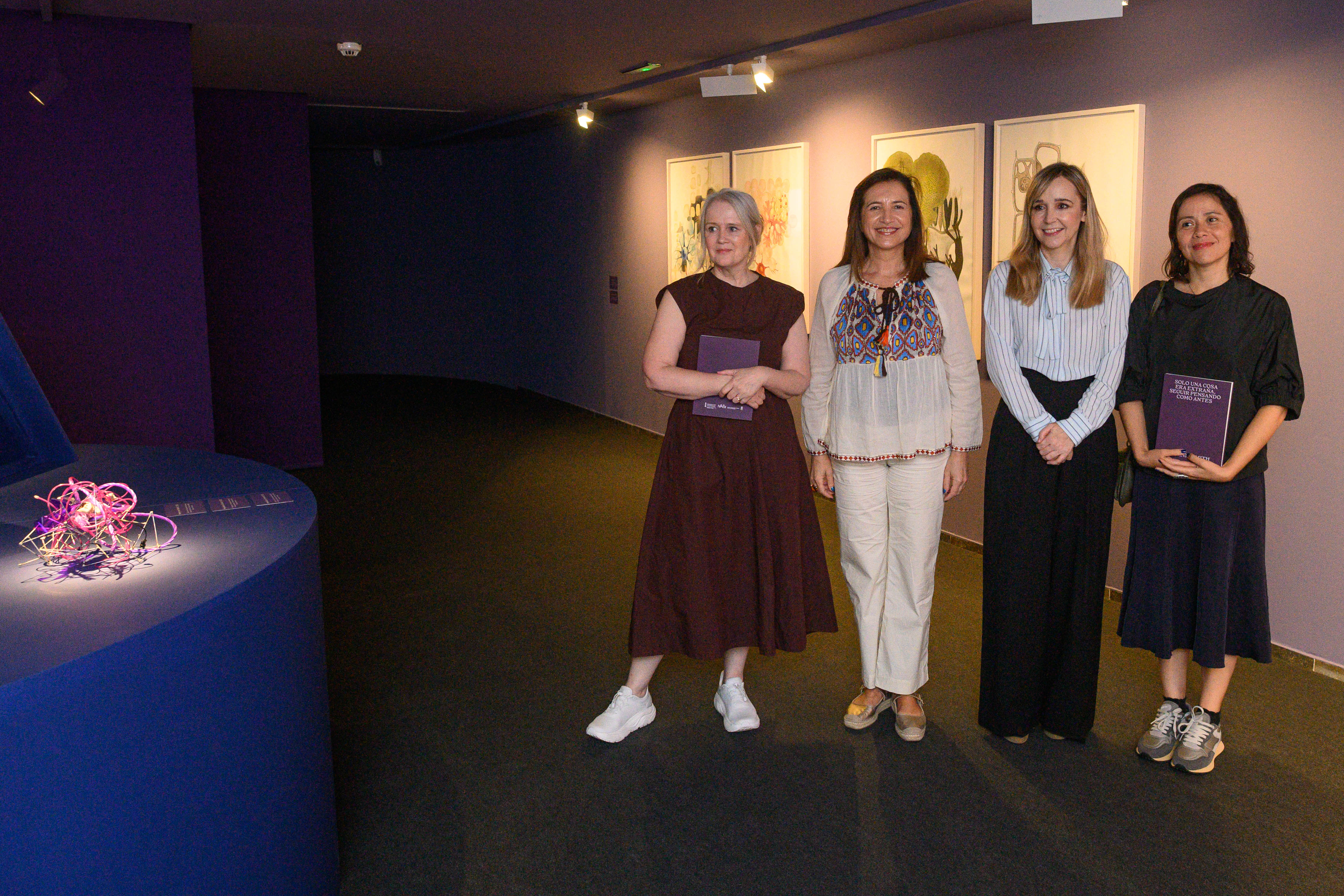 Exposició de Melanie Smith al IVAM