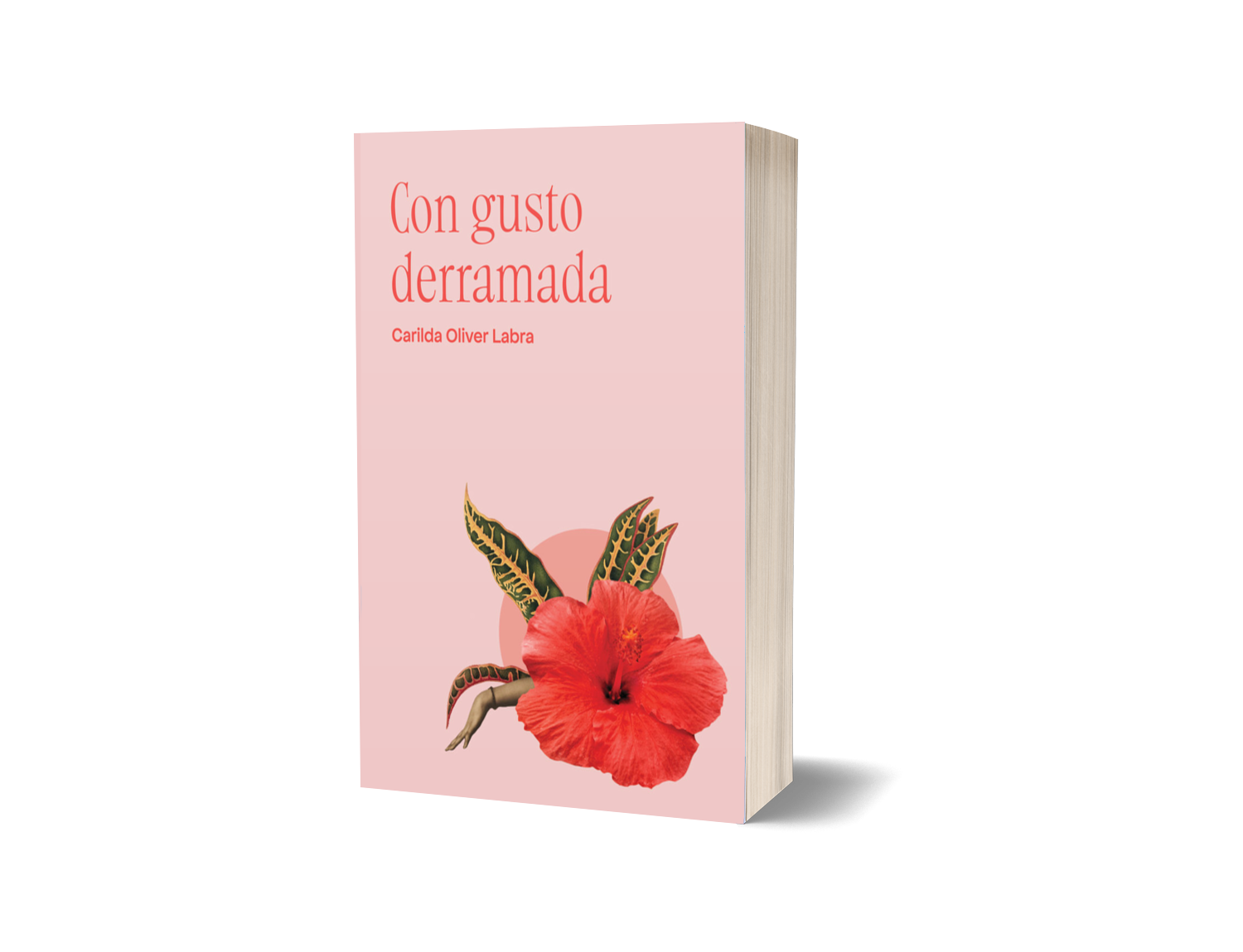 Inauguration de \'Con gusto derramada\'