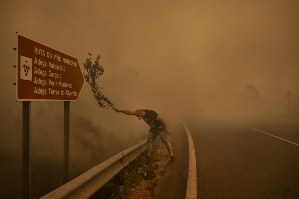 Présentation de l\'exposition World Press Photo 2026