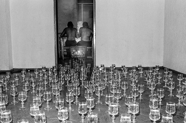 Yeguas del Apocalipsis desbordan los límites del arte y la disidencia